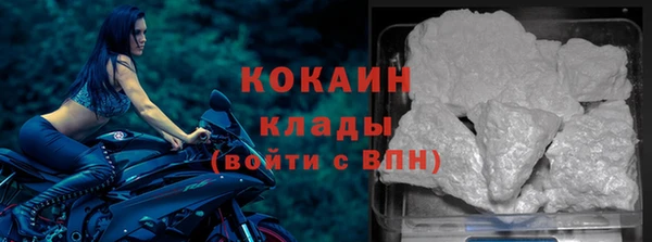 прущие грибы Липки