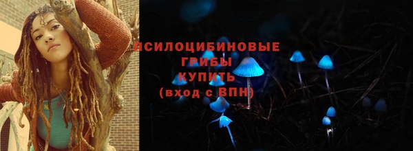 соль ск Лиски