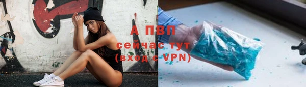 прущие грибы Липки
