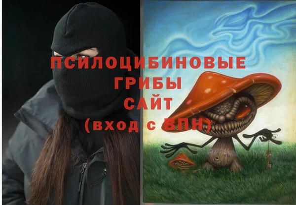 соль ск Лиски
