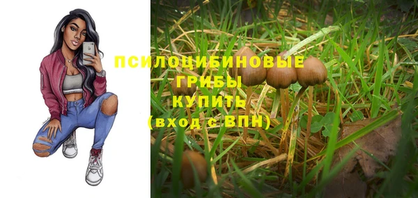 соль ск Лиски