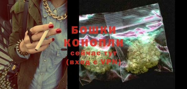 прущие грибы Липки