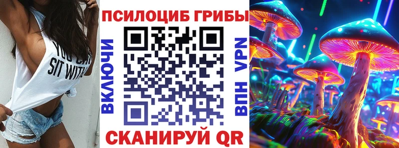 OMG ССЫЛКА Раменское Псилоцибиновые грибы Cubensis