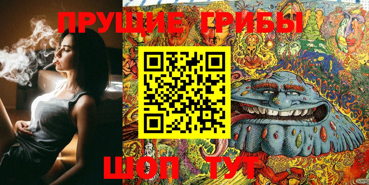 Раменское  Псилоцибиновые грибы GOLDEN TEACHER  Вход с VPN  Псилоцибиновые грибы MAGIC MUSHROOMS 