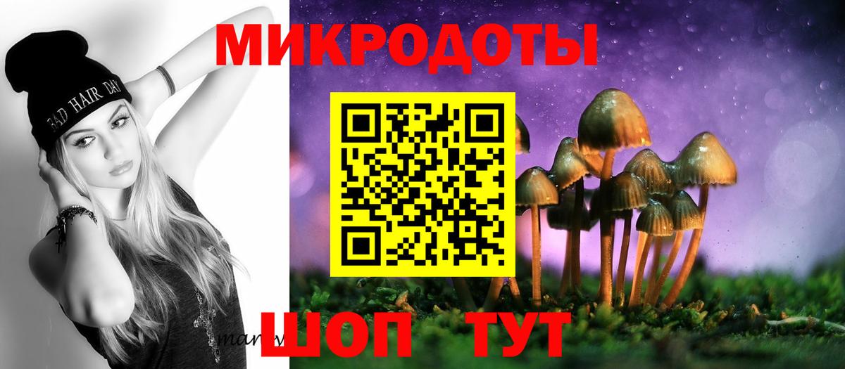 сколько стоит  Раменское  Галлюциногенные грибы Psilocybine cubensis  Псилоцибиновые грибы мицелий 